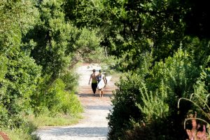 Camino a las olas en Moliets.