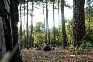 Yoga en el bosque de pinos en Moliets Yoga en el bosque de pinos en Moliets