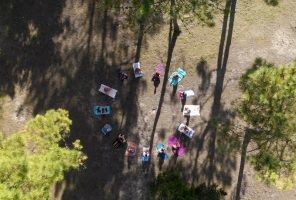 Yoga en el bosque en España