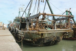 surf camp marruecos excursion Agadir