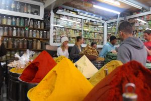 surf camp marruecos excursion Agadir