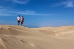 surf camp marruecos excursion camello