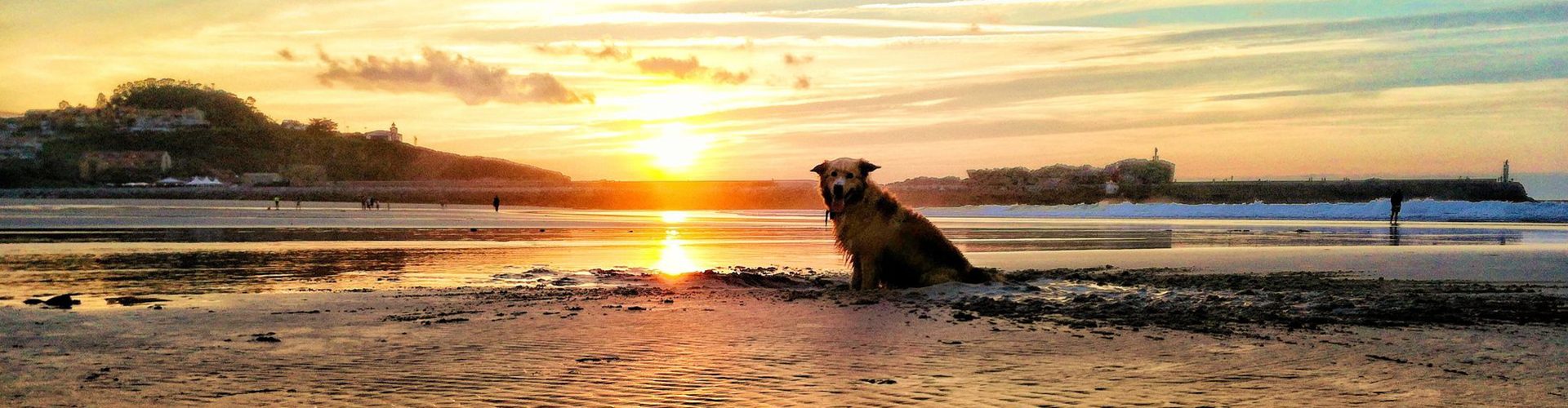 clase de surf antes de la práctica de surf en la playa