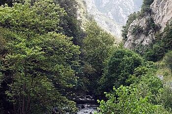 offer1 Campamento de surf Cantabria