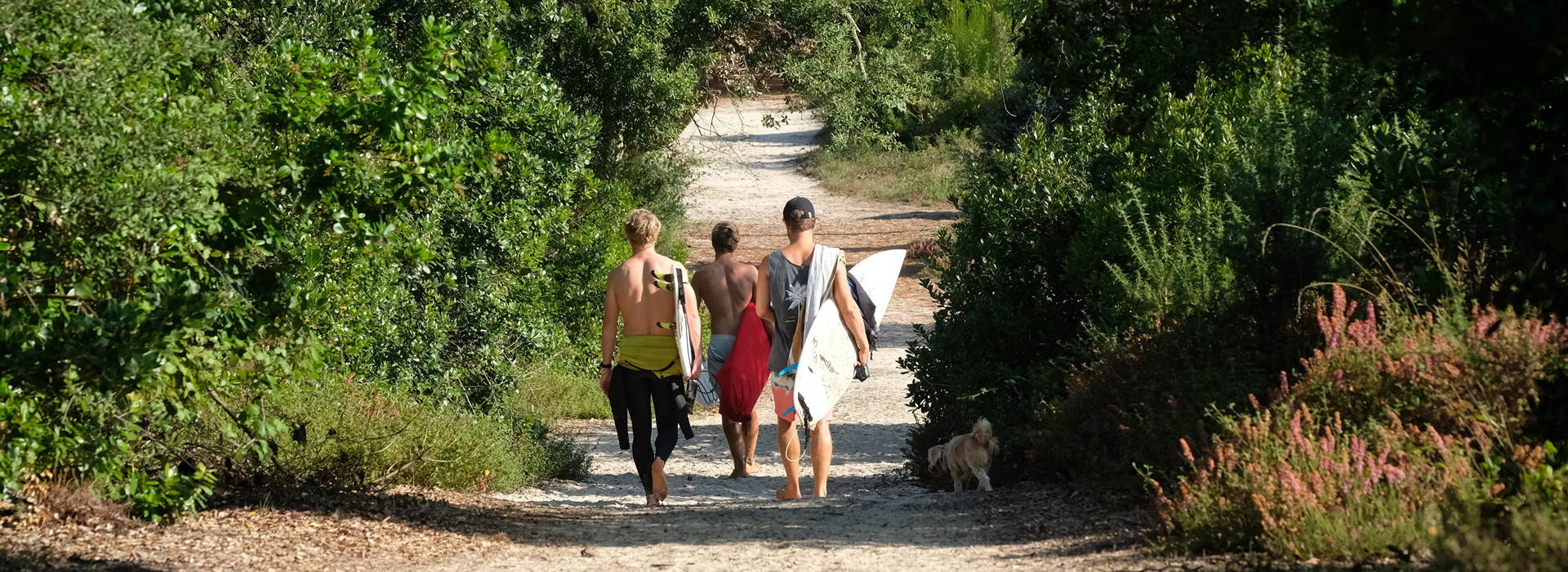 Surf Camp Francia en verano